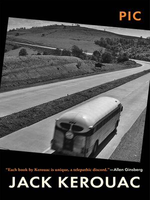 Pic - ebook